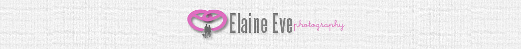 Toronto Wedding Photographer |Wedding Photography Toronto | The Best Wedding Photographer blog in Toronto logo
