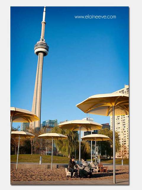 Toronto Engagement Session - Wedding Photography