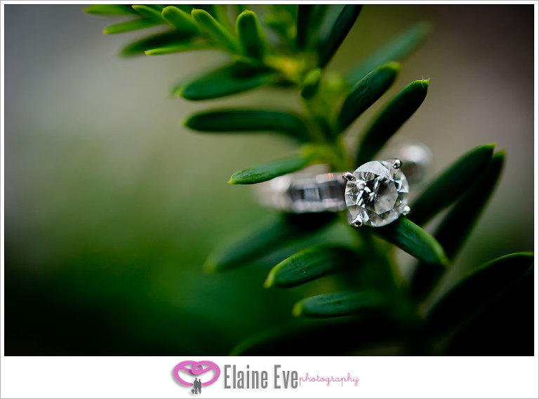 Wedding Ring Photography, Ring Shot, Macro Wedding Ring Photograph, Engagement Ring Shot