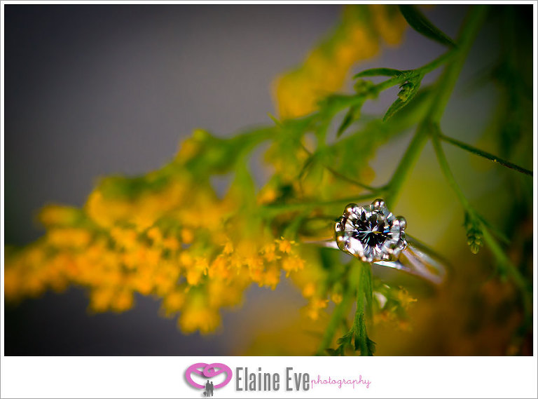 Wedding Photography, Engagement Photograph, Toronto & GTA, Durham REgion 