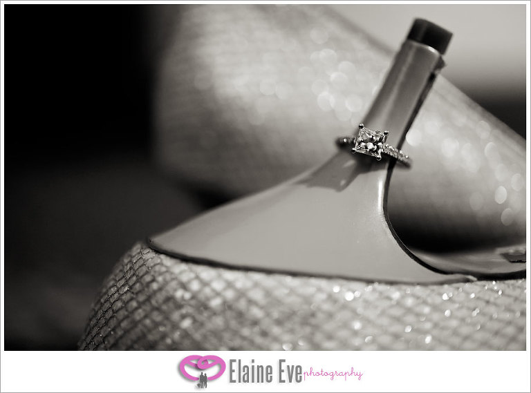Blue Mountain Inn, Collingwood, Wedding PHotography 