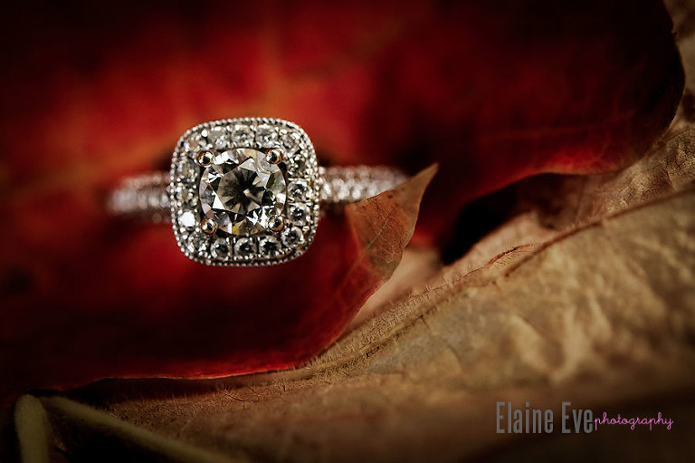 Wedding Ring, Toronto Engagement Session, Meadowvale Conservation Area Wedding Photography