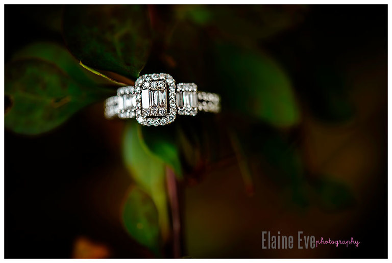 Wedding Ring, Engagement Ring, Engagement Photography, Mississauga Wedding PHoto, Erindale Park
