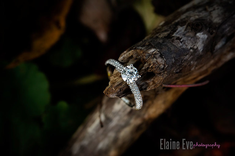 engagement ring, Meadowvale conservation area, Mississauga & Toronto Wedding Photography