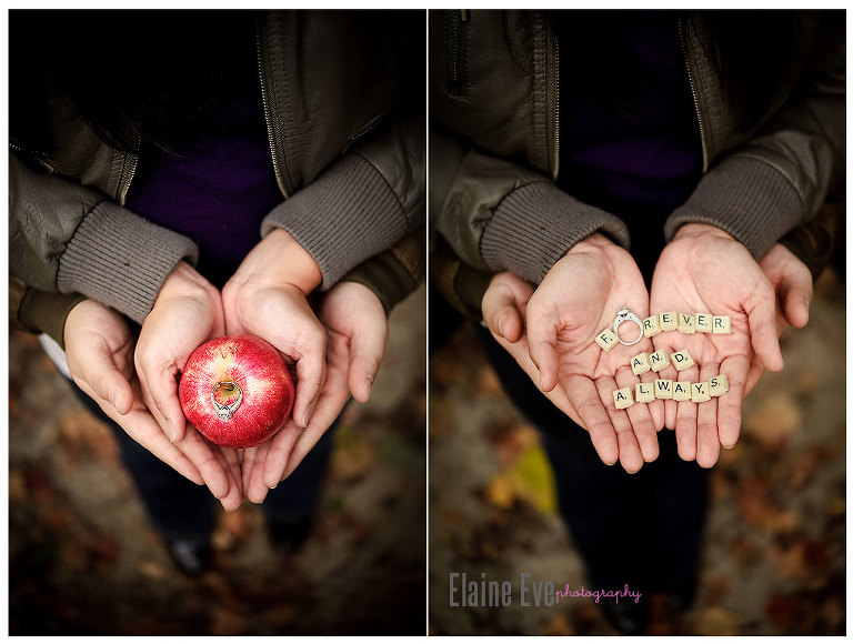 Twilight Book, Meadowvale Conservation Area, Toronto & Mississauga Engagement Session