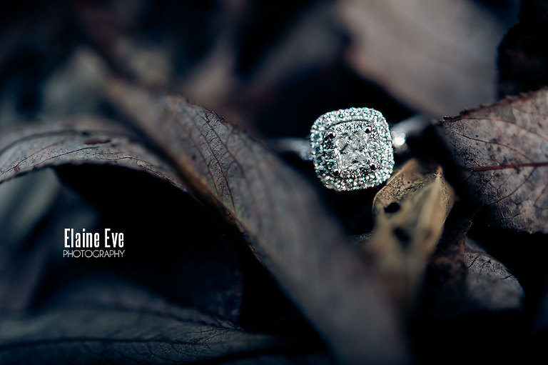 Engagement Ring, Toronto Wedding & Engagement Photographer, High Park, Mississauga & Oakville & Brampton & Vaughan & Woodbridge Wedding Photography