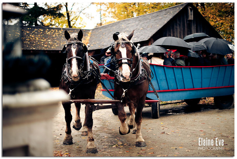 Horse Drawn Carriage, Black Creek Pioneer Village, Toronto Wedding Photography, Mississaga and Oakville and Durham Region wedding photographer