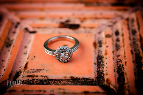 Kariya Park Engagement Photography in Mississauga & Oakville