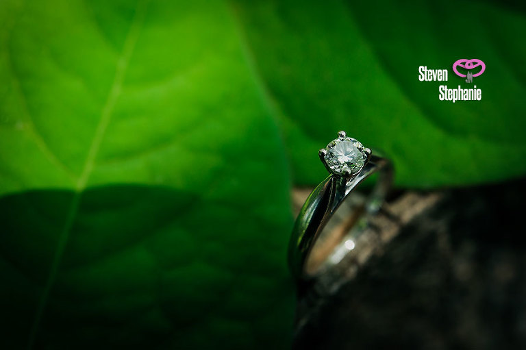 Toronto Engagement Photo