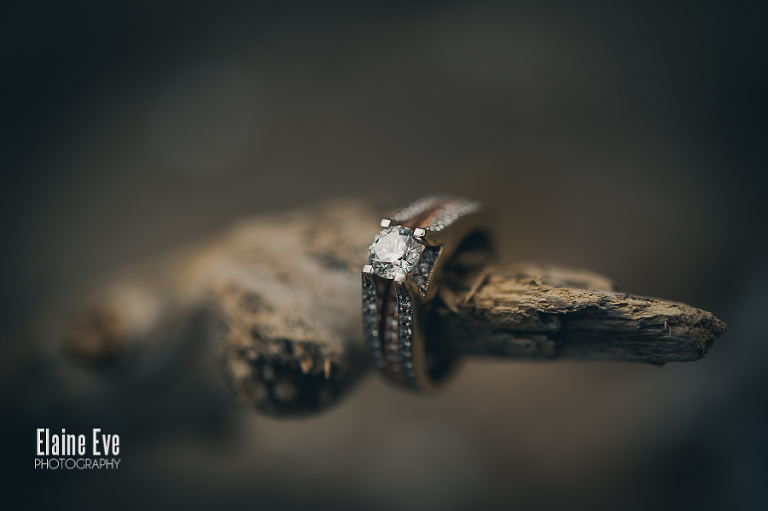 Toronto Wedding Ring photo