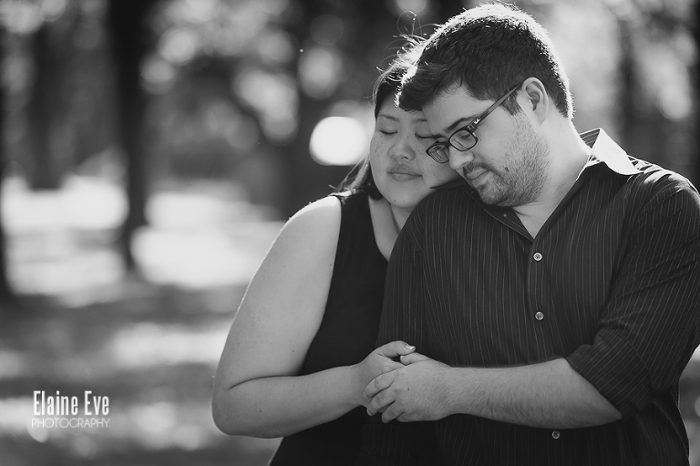 High Park Engagement Photography