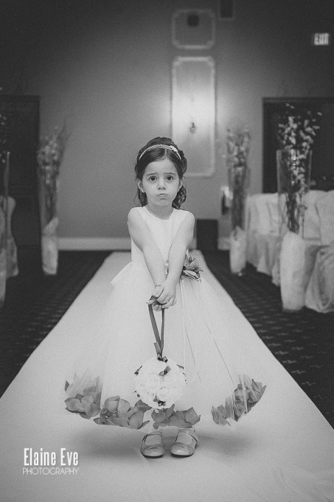 Le Treport Wedding Photography