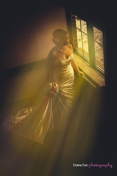 Fine Art Wedding Photography