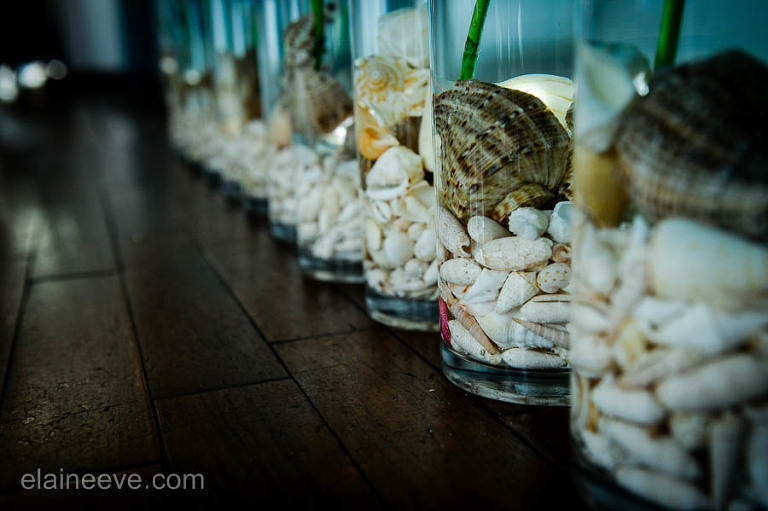 Bluffers Park Wedding 