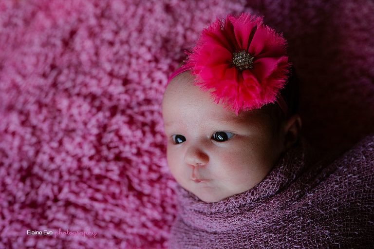 Newborn-Photograph-1