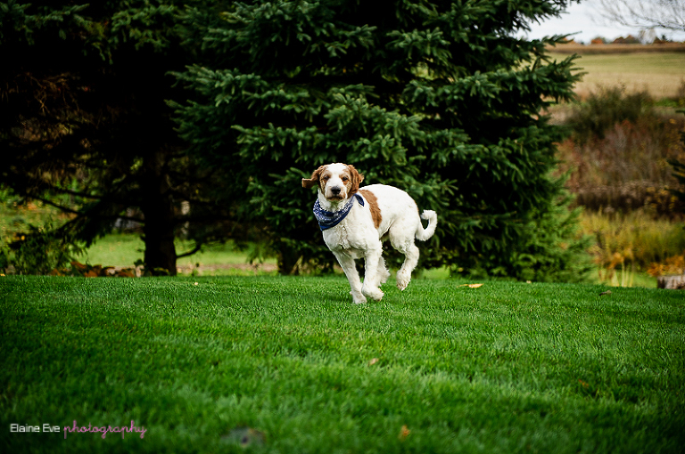 Orono Family Photography