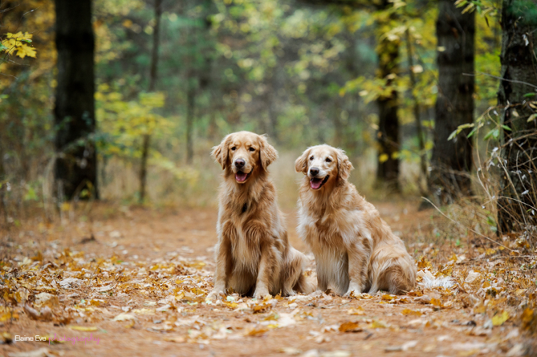 Oshawa Family Photographer-33