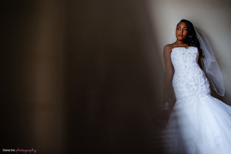 Paradise Banquet Hall Wedding Photographer