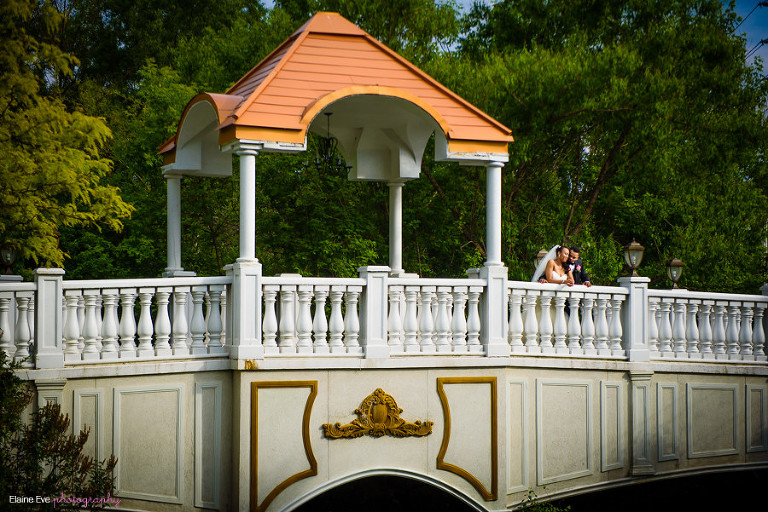 Paradise Banquet Hall Wedding Photographer