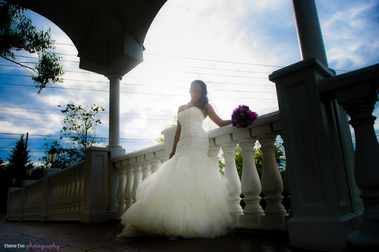 Paradise Banquet Hall Wedding Photographer