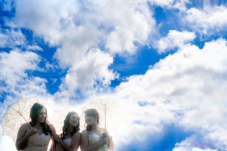 Holland Marsh Wineries Wedding 