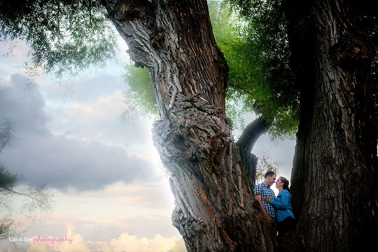 Toronto-Island-Engagement