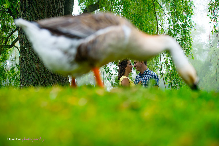 Toronto-Island-Engagement