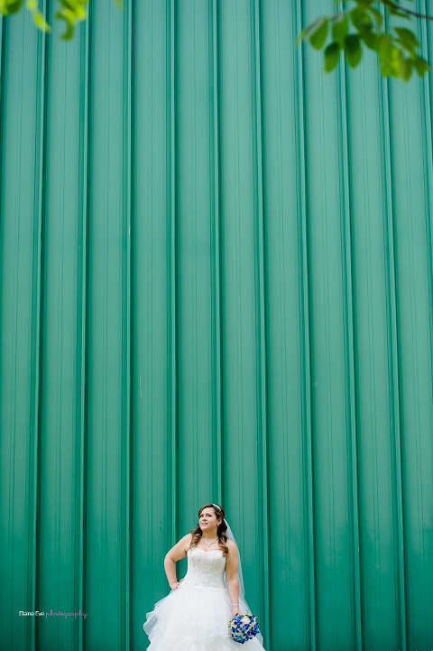 Paramount Conference Centre Wedding 