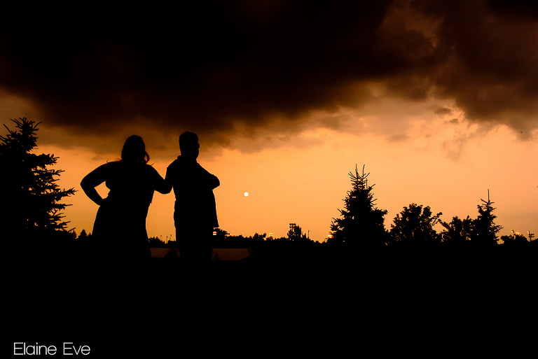 Richmond Park Engagement Photography