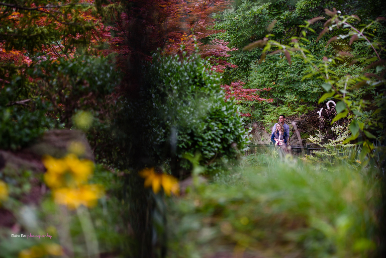 High Park Engagement Photography