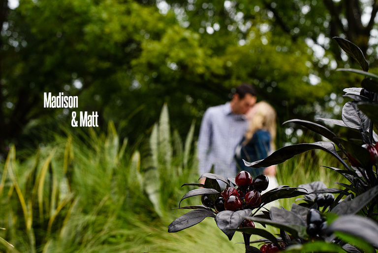 High Park Engagement Photography