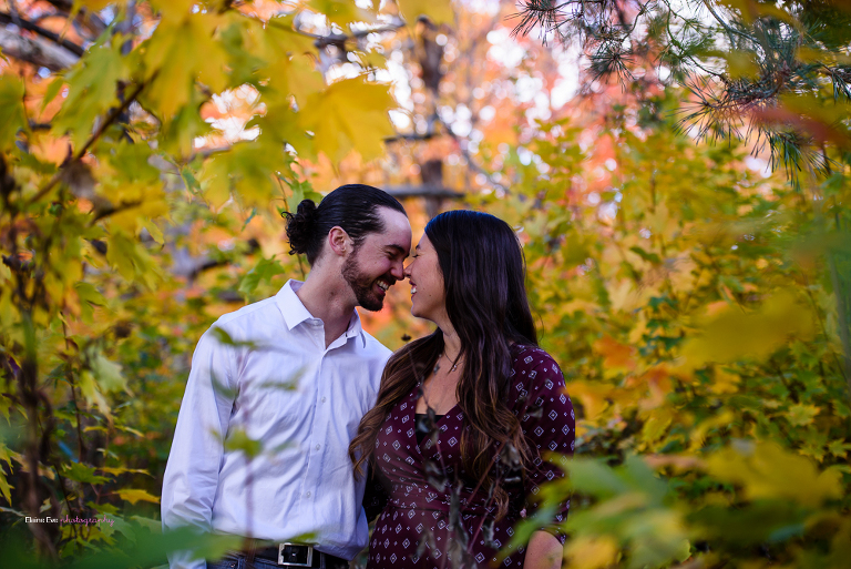 High Park Engagement Photography (23 of 37)