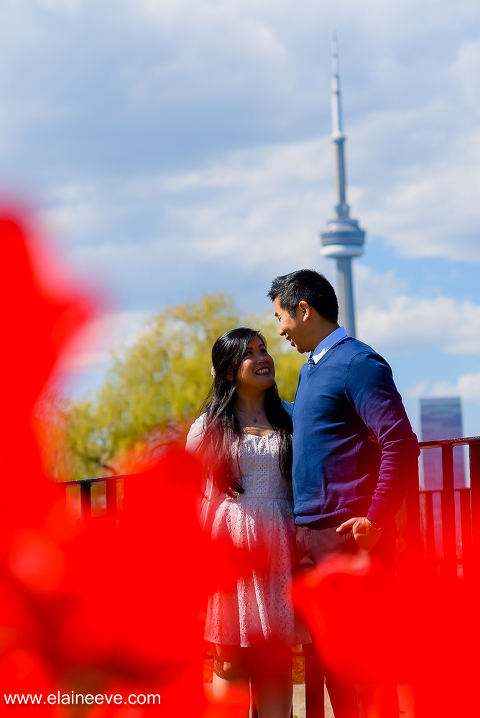 Centre Island (8 of 35)