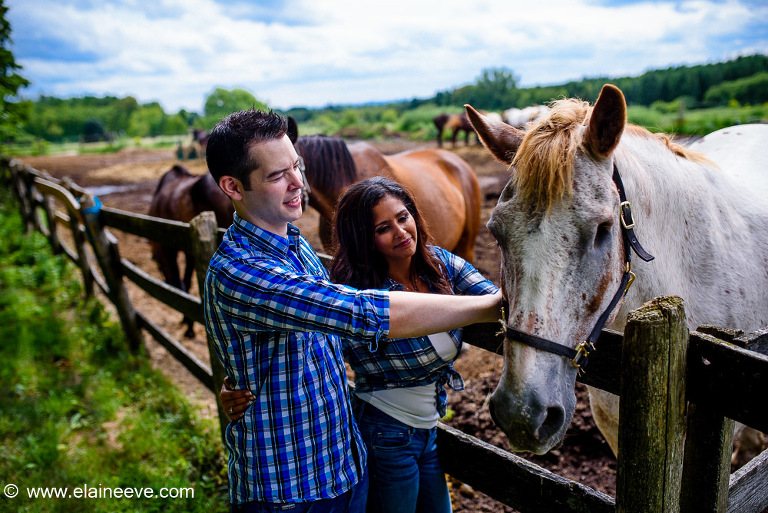 Horse and Barn Toronto Engagement Photography