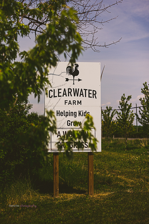 Clearwater Farm Wedding